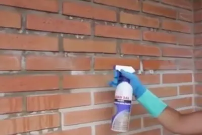 echar acido a la pared para eliminar el salitre